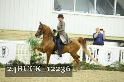 24BUCK_12236 thumbnail