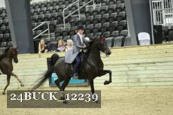 24BUCK_12239 thumbnail