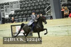 24BUCK_12240 thumbnail