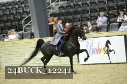 24BUCK_12241 thumbnail