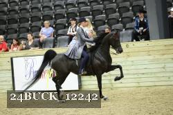 24BUCK_12242 thumbnail