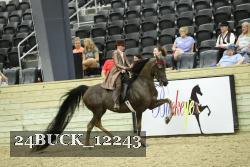 24BUCK_12243 thumbnail