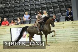 24BUCK_12244 thumbnail