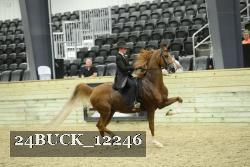 24BUCK_12246 thumbnail