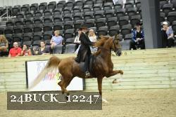 24BUCK_12247 thumbnail