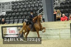 24BUCK_12249 thumbnail