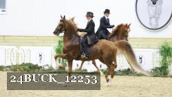 24BUCK_12253 thumbnail