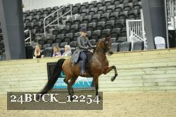24BUCK_12254 thumbnail