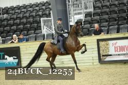 24BUCK_12255 thumbnail