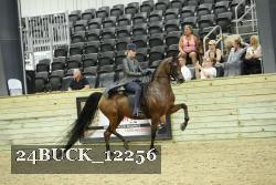 24BUCK_12256 thumbnail