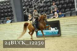 24BUCK_12259 thumbnail