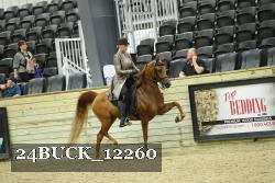 24BUCK_12260 thumbnail
