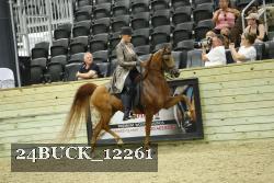 24BUCK_12261 thumbnail