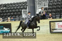 24BUCK_12265 thumbnail