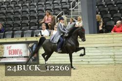 24BUCK_12266 thumbnail