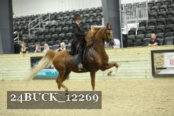 24BUCK_12269 thumbnail