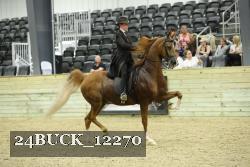 24BUCK_12270 thumbnail
