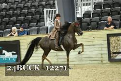 24BUCK_12271 thumbnail