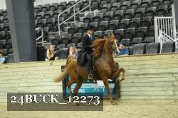 24BUCK_12273 thumbnail