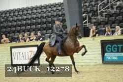 24BUCK_12278 thumbnail