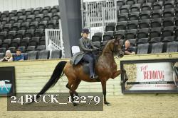 24BUCK_12279 thumbnail