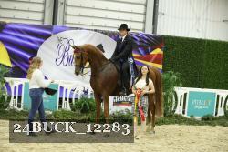 24BUCK_12283 thumbnail