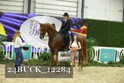24BUCK_12284 thumbnail