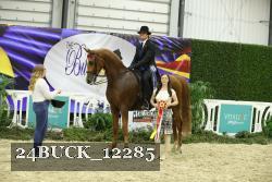 24BUCK_12285 thumbnail