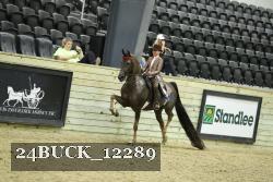 24BUCK_12289 thumbnail