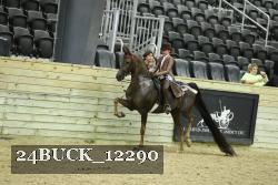 24BUCK_12290 thumbnail