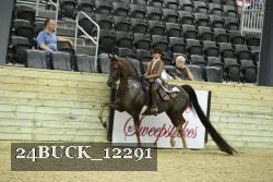 24BUCK_12291 thumbnail