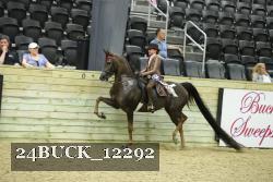24BUCK_12292 thumbnail