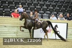 24BUCK_12296 thumbnail