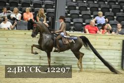 24BUCK_12297 thumbnail