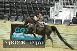 24BUCK_12301 thumbnail