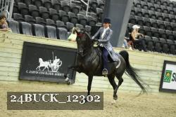 24BUCK_12302 thumbnail