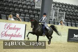 24BUCK_12303 thumbnail