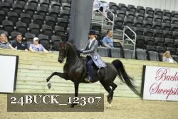 24BUCK_12307 thumbnail
