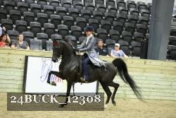 24BUCK_12308 thumbnail
