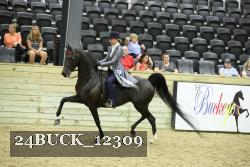 24BUCK_12309 thumbnail
