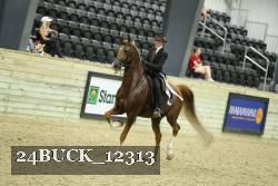 24BUCK_12313 thumbnail