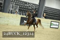 24BUCK_12314 thumbnail