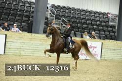 24BUCK_12316 thumbnail