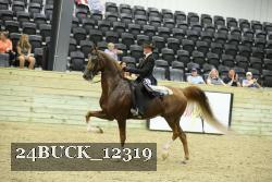 24BUCK_12319 thumbnail