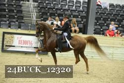 24BUCK_12320 thumbnail
