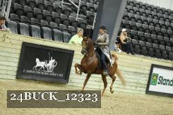 24BUCK_12323 thumbnail