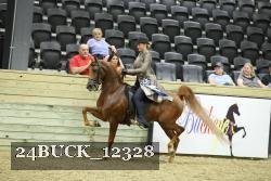 24BUCK_12328 thumbnail