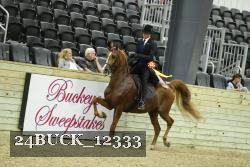 24BUCK_12333 thumbnail