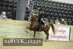 24BUCK_12336 thumbnail