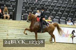 24BUCK_12338 thumbnail